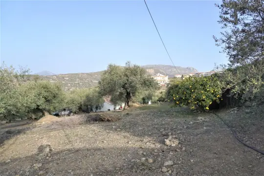 Image 10 thumb