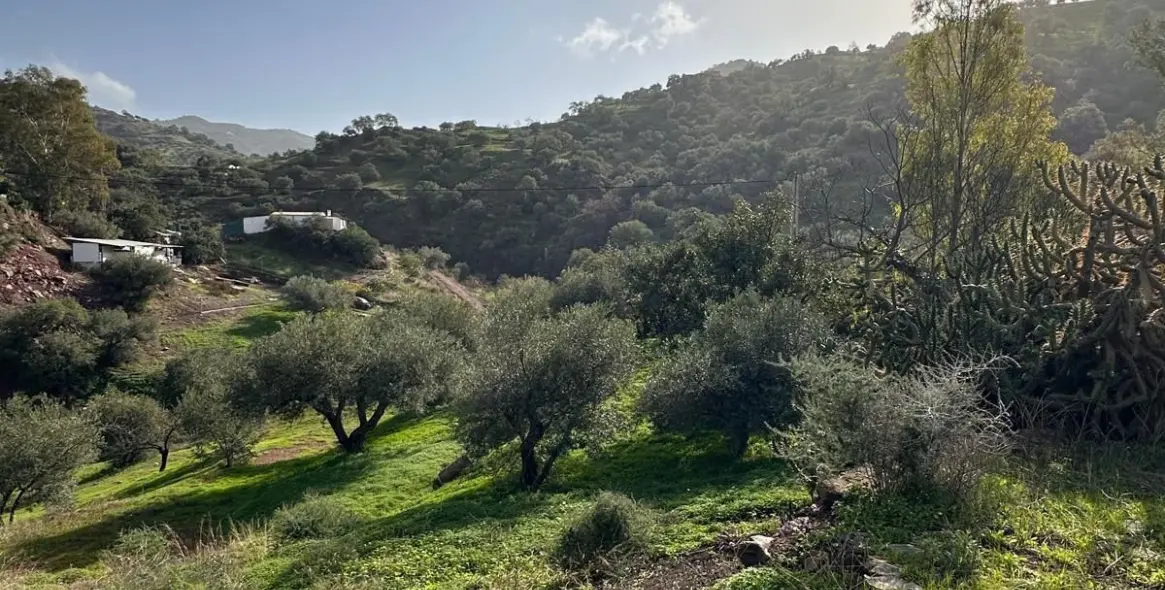 Продажа  отдельно стоящей виллы в Malaga (район Teatinos) 11