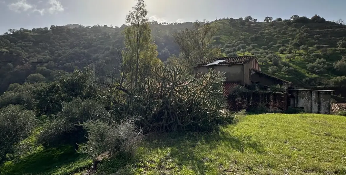 Продажа  отдельно стоящей виллы в Malaga (район Teatinos) 13