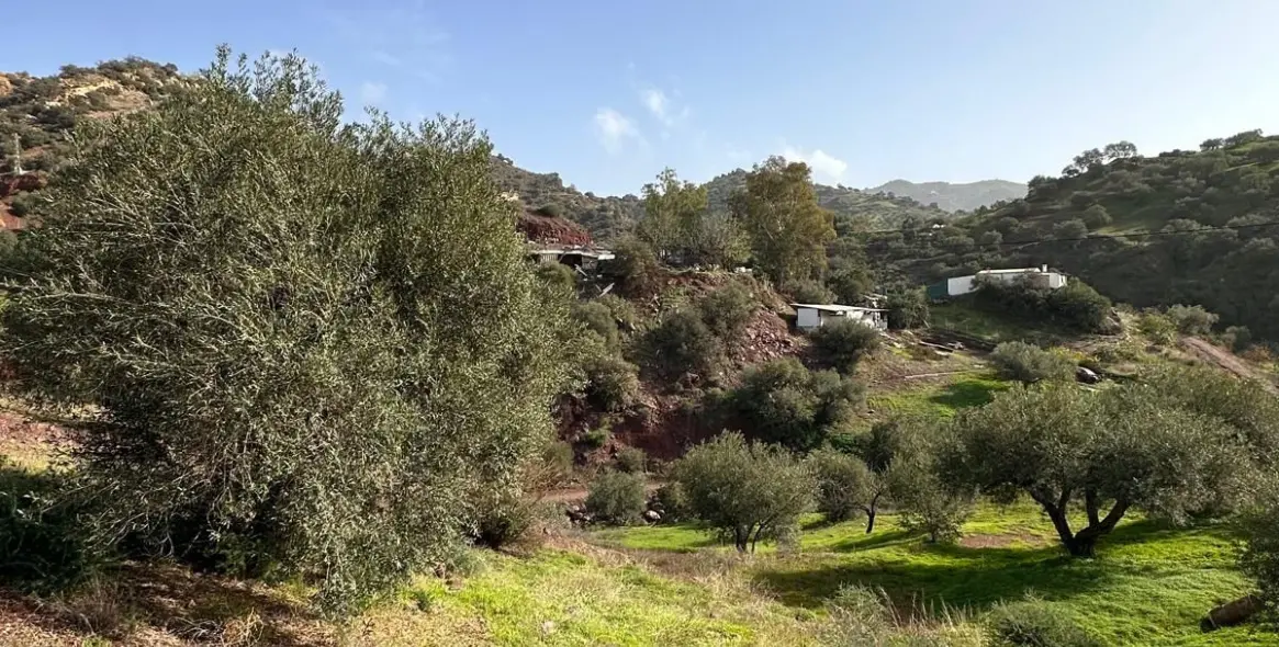 Продажа  отдельно стоящей виллы в Malaga (район Teatinos) 14