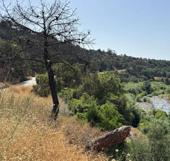 Venta de parcela residencial en El Padron