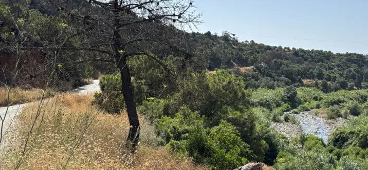 Venta de parcela residencial en El Padron 0