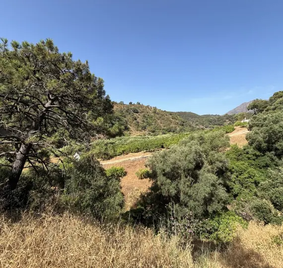 Venta de parcela residencial en El Padron