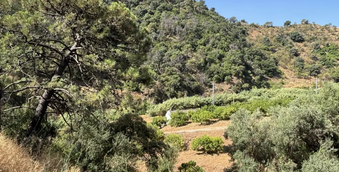 Продажа  жилого участка в El Padron 3