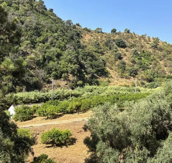 Venta de parcela residencial en El Padron