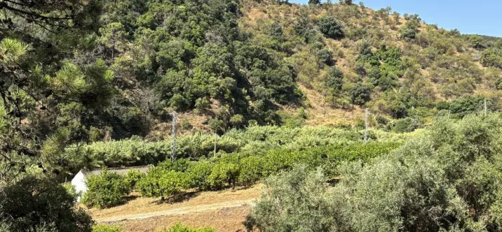 Venta de parcela residencial en El Padron 3