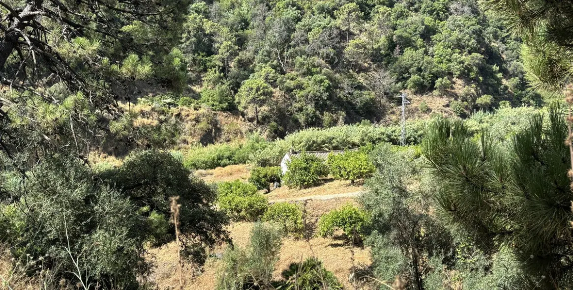 Продажа  жилого участка в El Padron 5