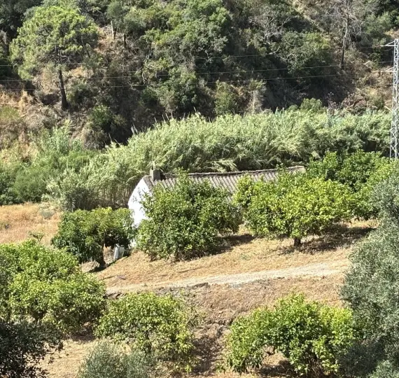 Venta de parcela residencial en El Padron