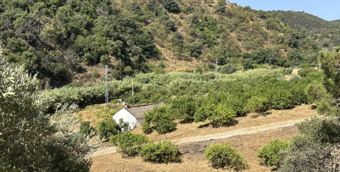 Продажа  жилого участка в El Padron 7