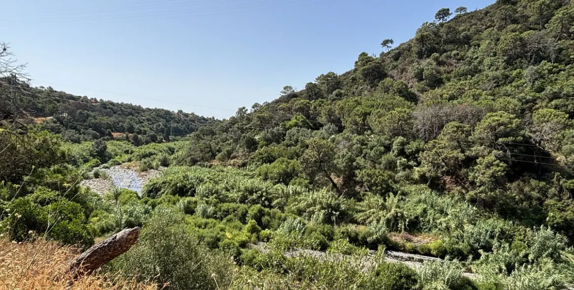 Продажа  жилого участка в El Padron 9