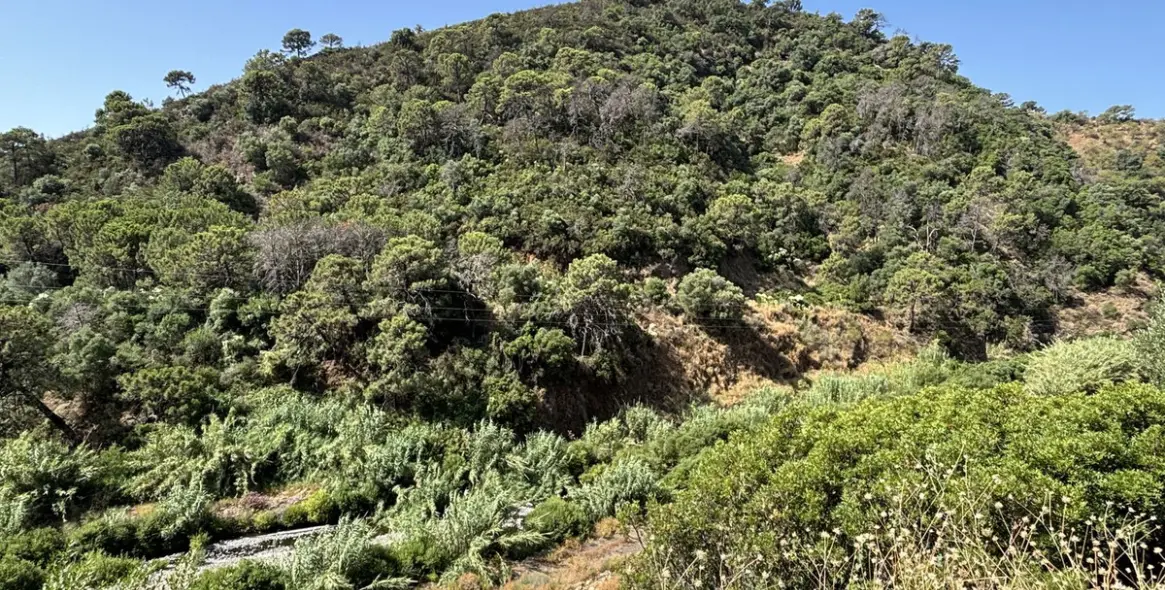 Продажа  жилого участка в El Padron 10