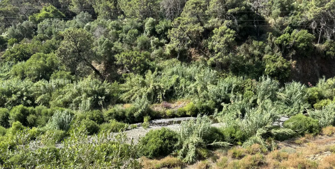 Продажа  жилого участка в El Padron 11