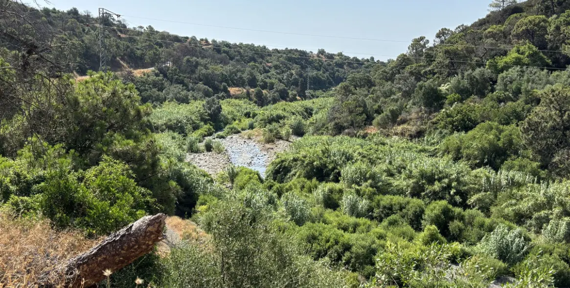 Продажа  жилого участка в El Padron 12