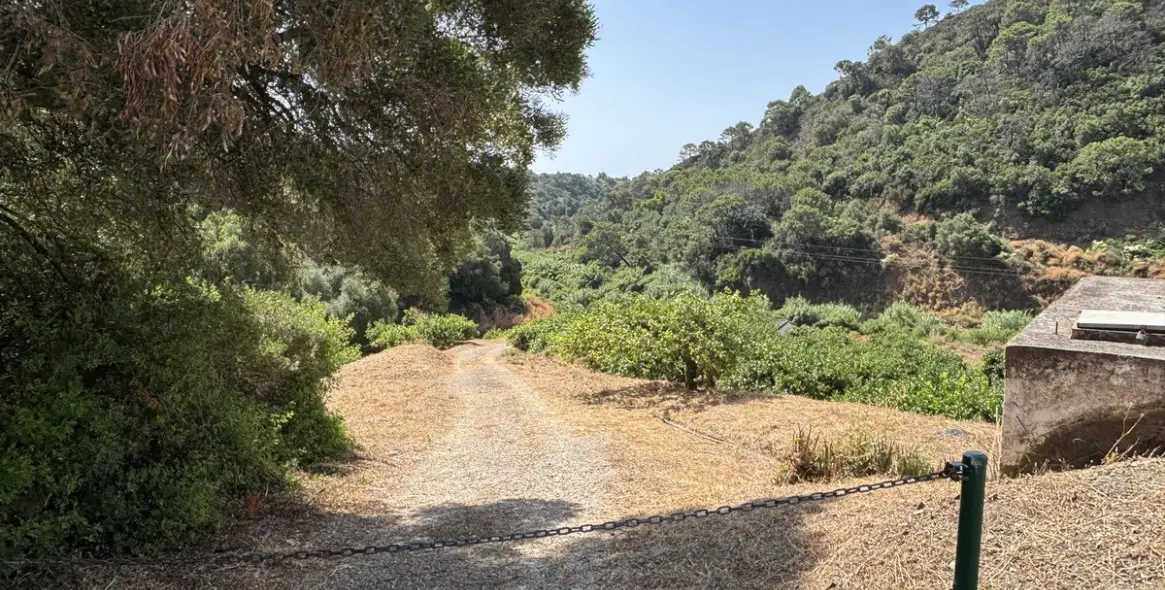 Продажа  жилого участка в El Padron 14