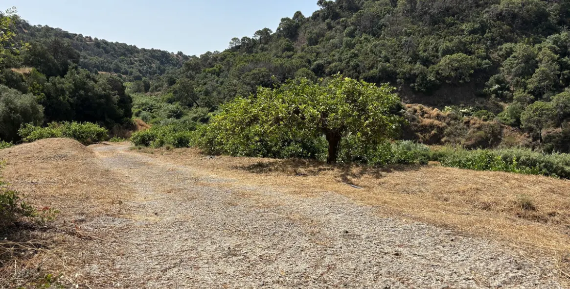 Продажа  жилого участка в El Padron 16