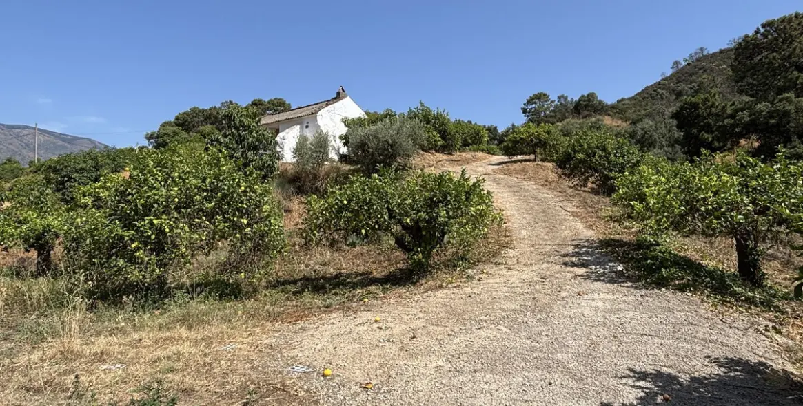 Продажа  жилого участка в El Padron 22