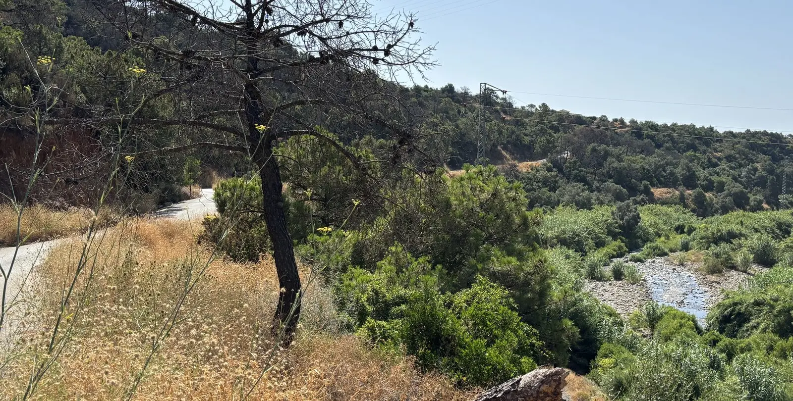 Sale of residential plot in El Padron 1