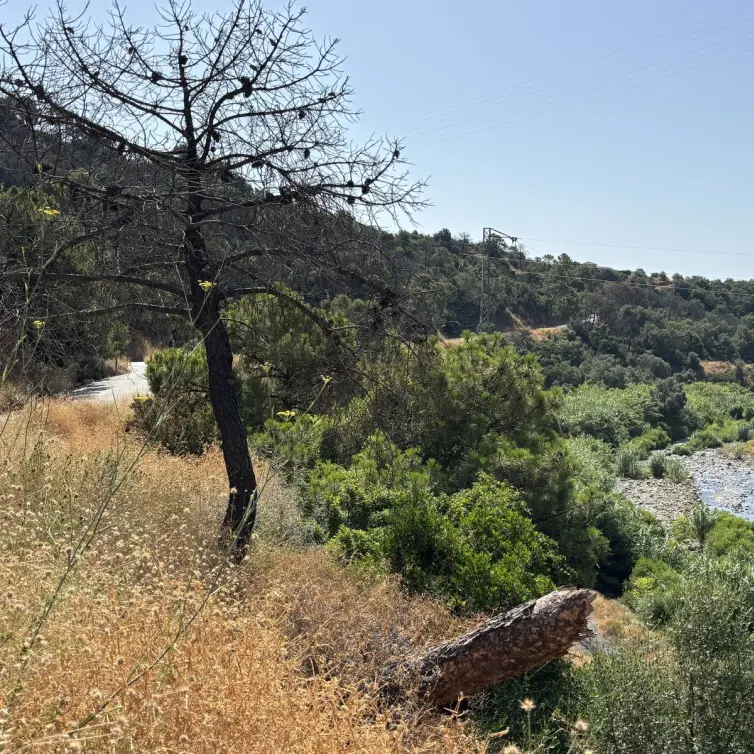 Sale of residential plot in El Padron