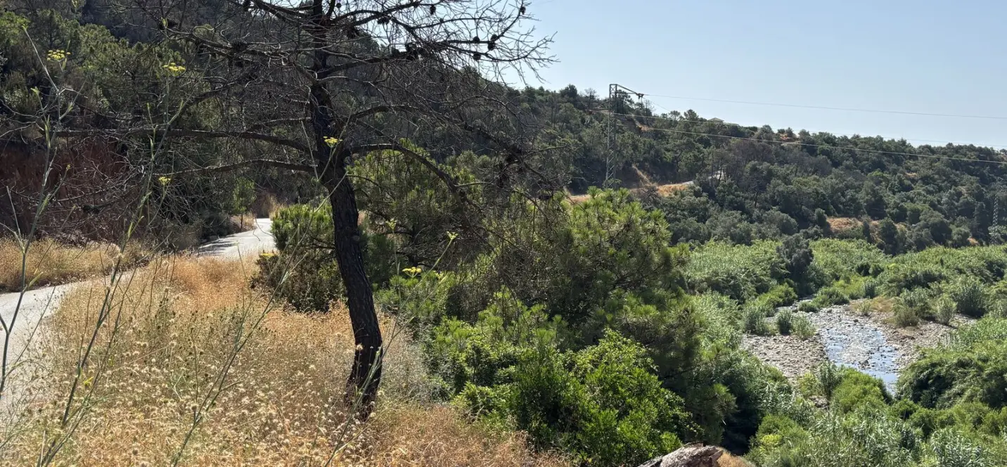Sale of residential plot in El Padron 0