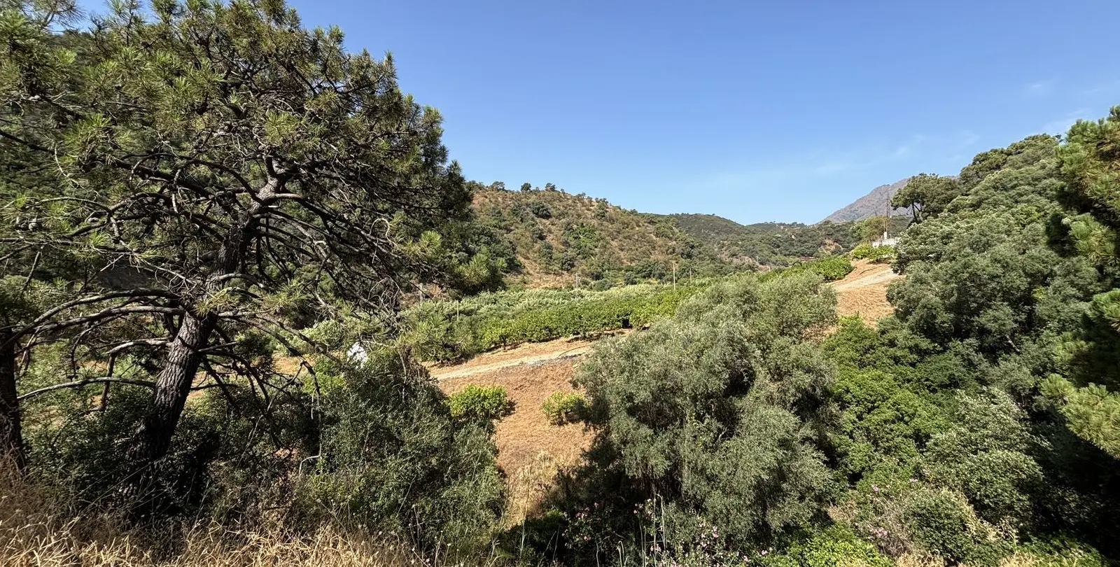 Sale of residential plot in El Padron 2