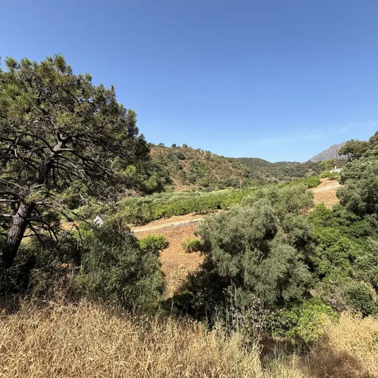 Sale of residential plot in El Padron