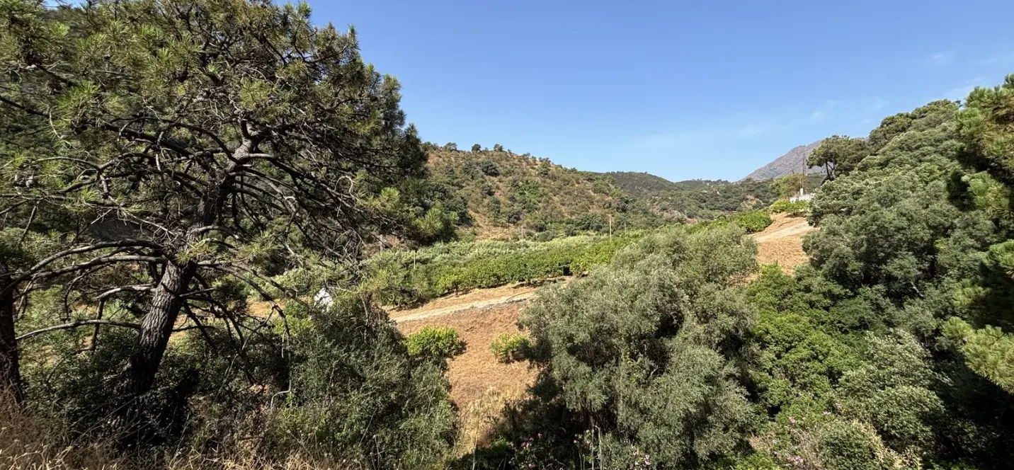 Sale of residential plot in El Padron 1