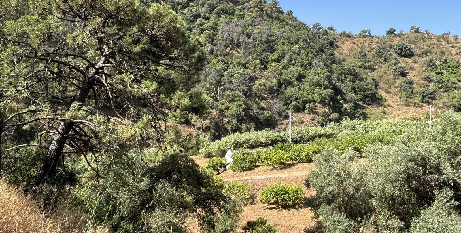 Sale of residential plot in El Padron 3