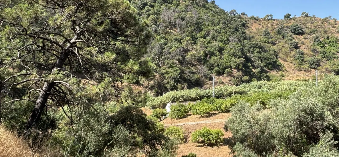 Sale of residential plot in El Padron 2