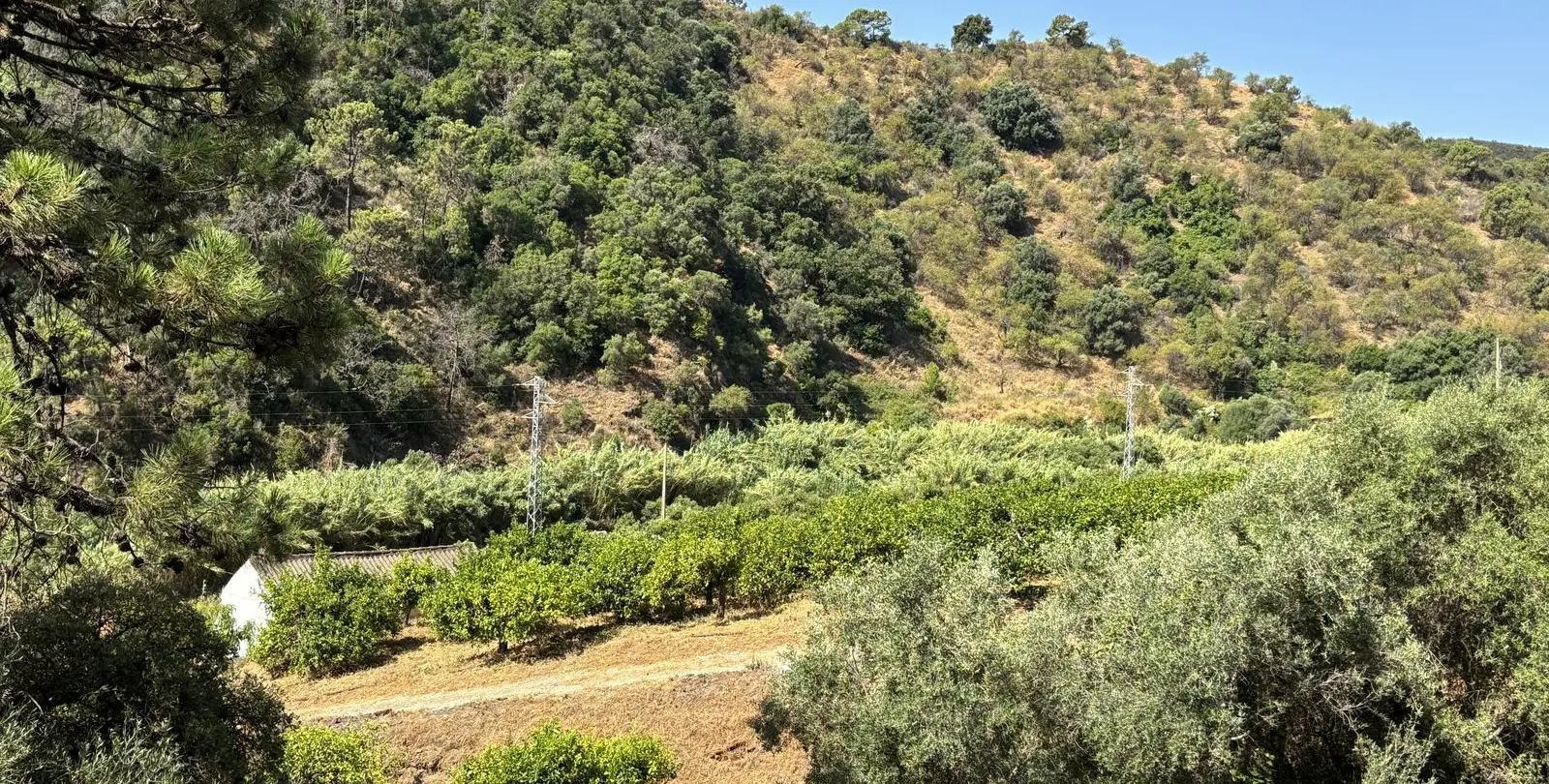 Sale of residential plot in El Padron 4