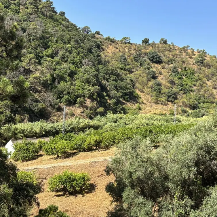Sale of residential plot in El Padron