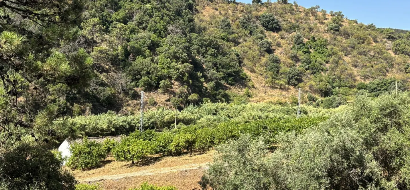 Sale of residential plot in El Padron 3