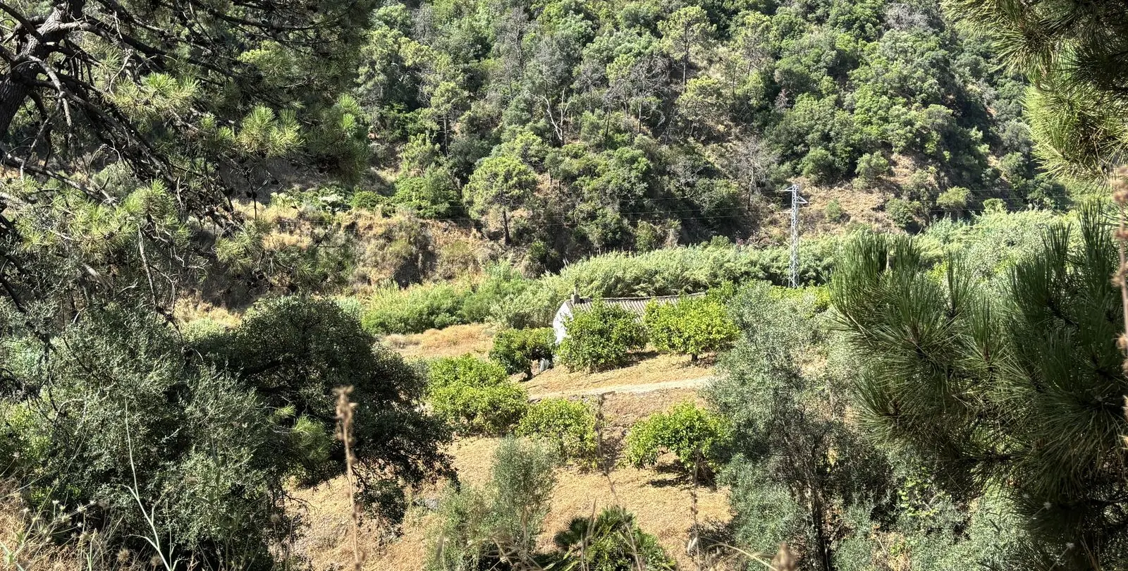 Sale of residential plot in El Padron 5