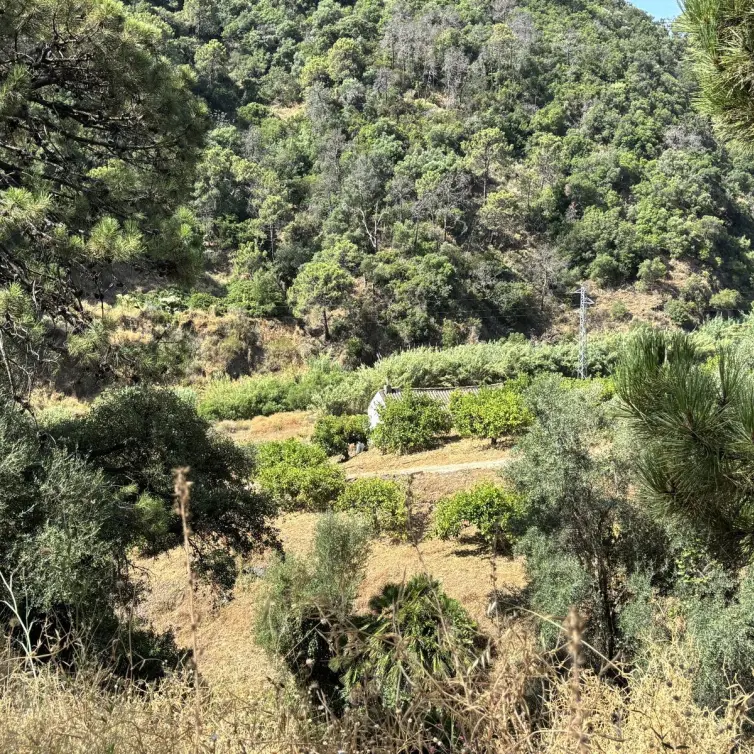 Sale of residential plot in El Padron