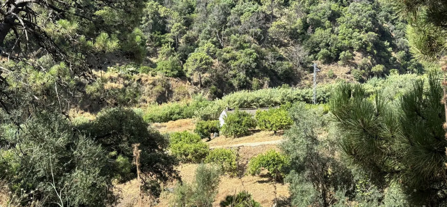 Sale of residential plot in El Padron 4