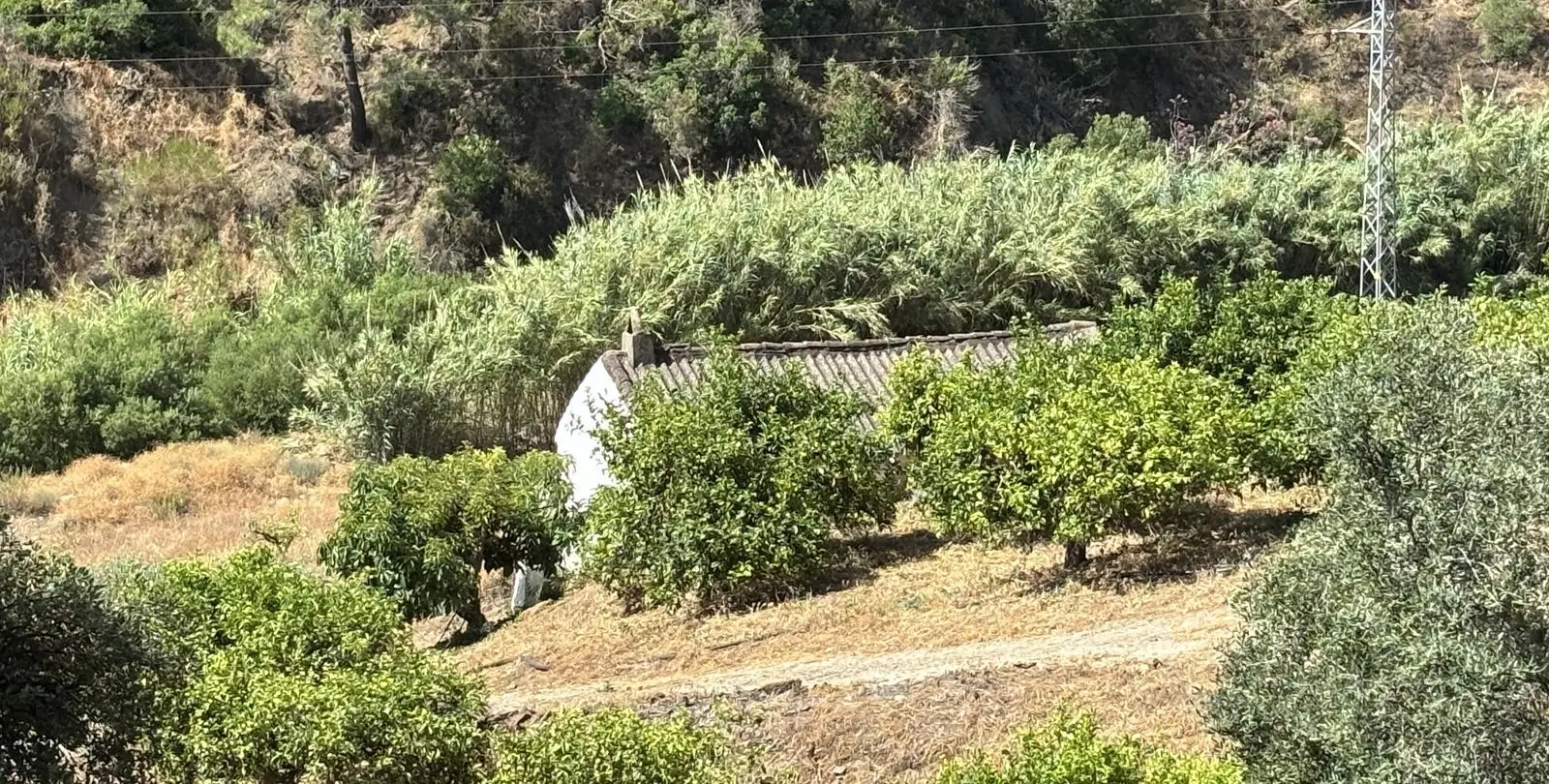 Sale of residential plot in El Padron 6