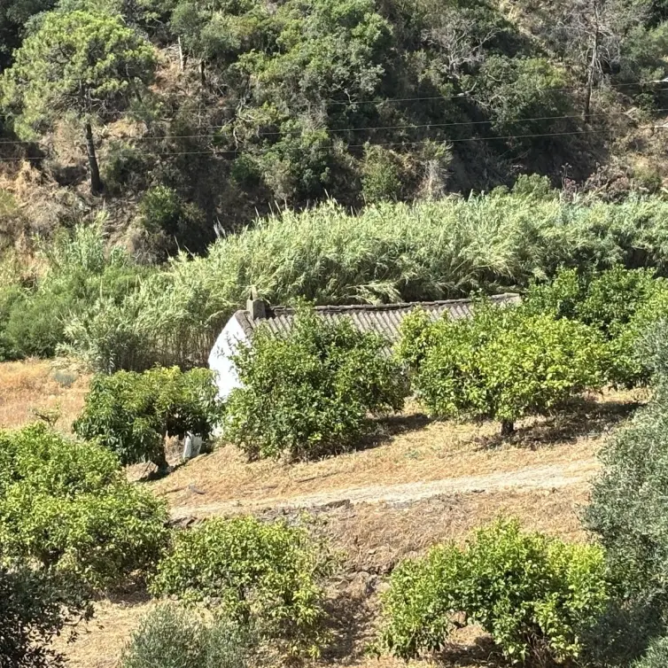 Sale of residential plot in El Padron