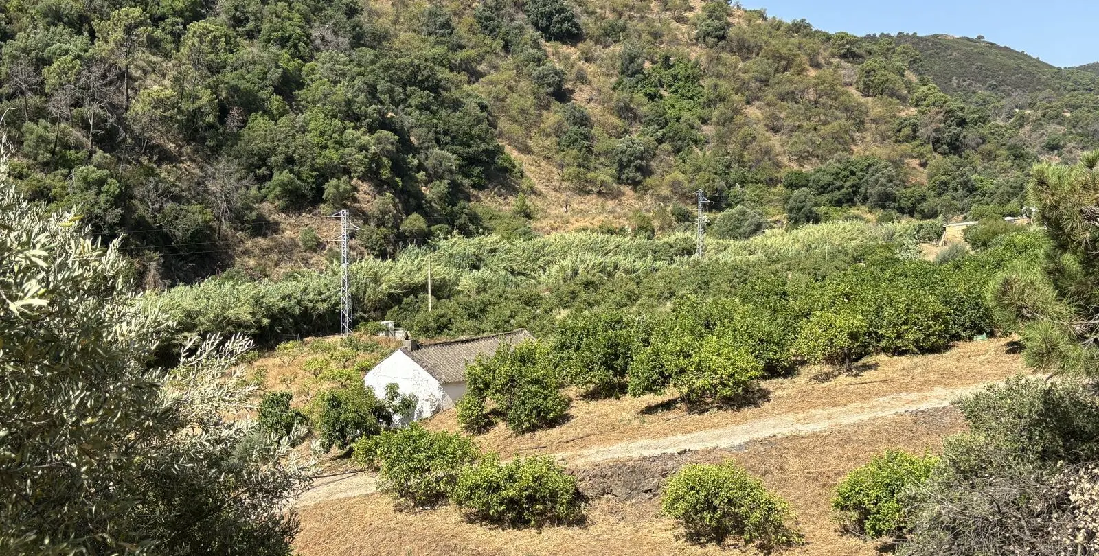 Sale of residential plot in El Padron 7