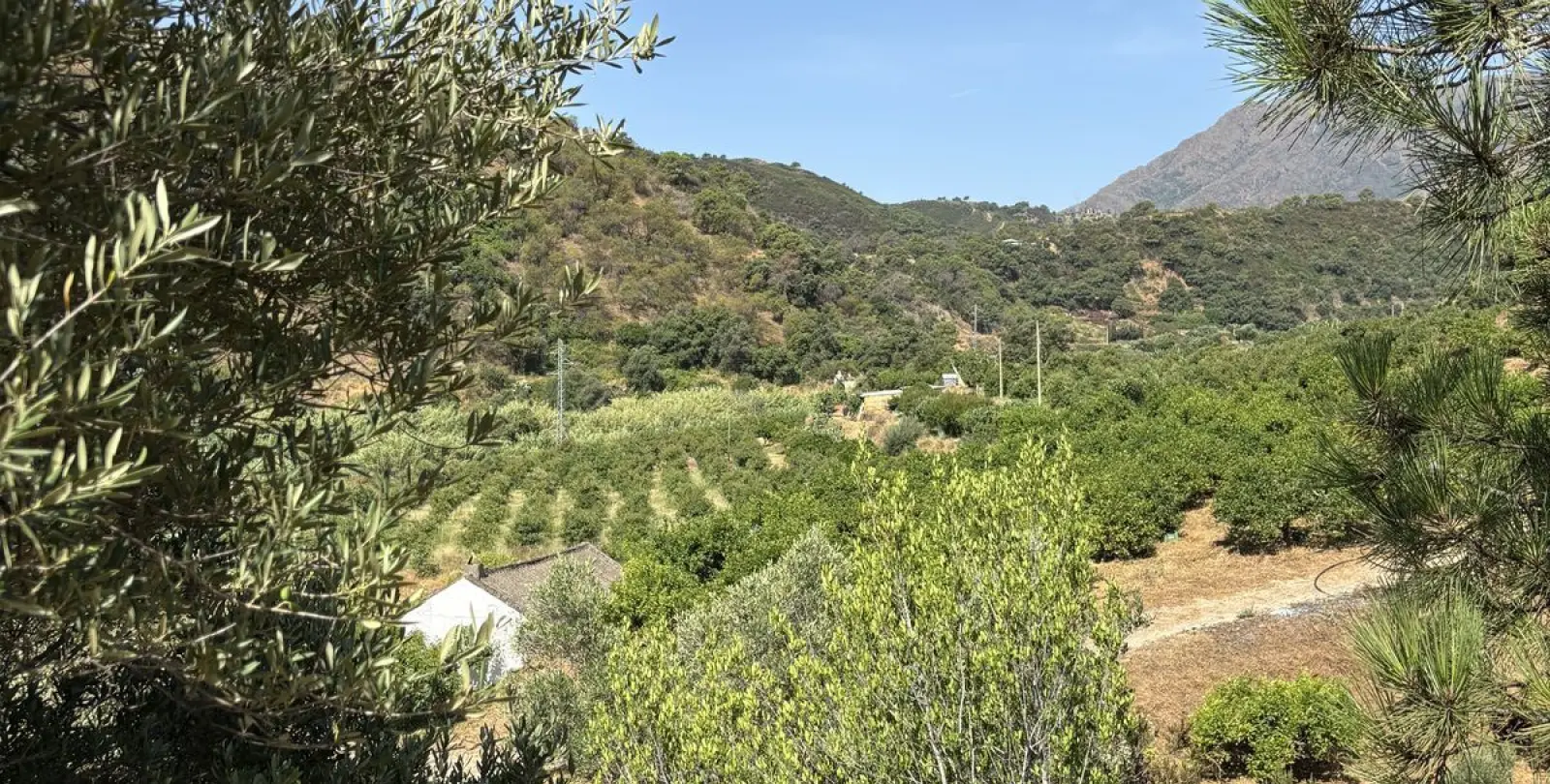 Sale of residential plot in El Padron 8