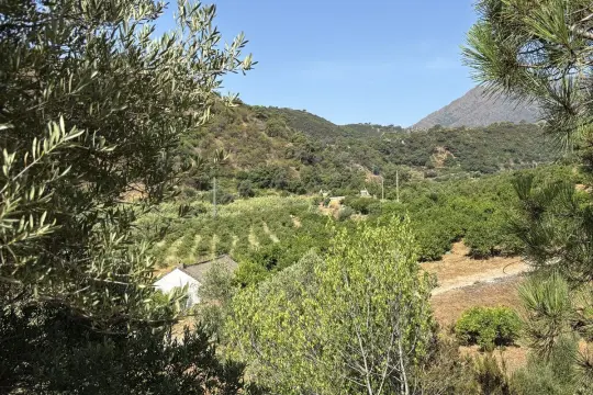 Image 8 thumb