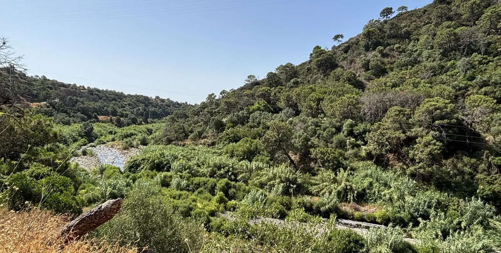 Sale of residential plot in El Padron 9