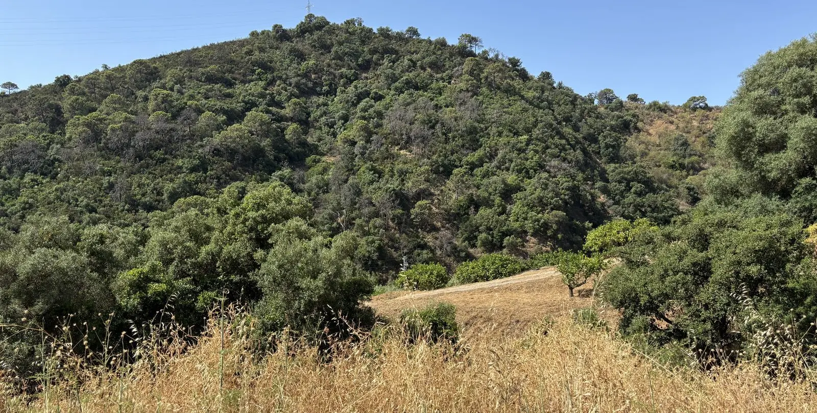 Sale of residential plot in El Padron 13
