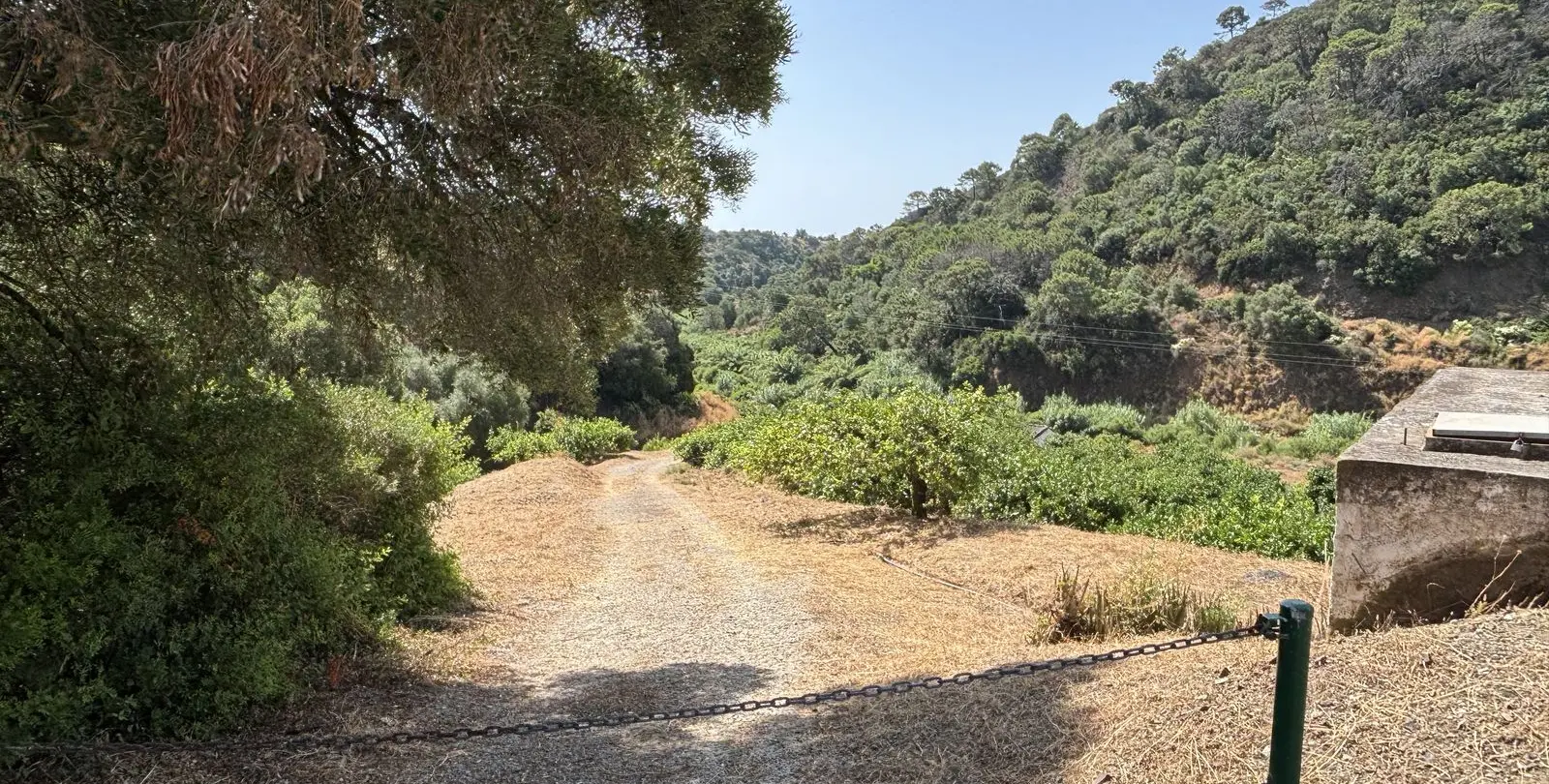 Sale of residential plot in El Padron 14