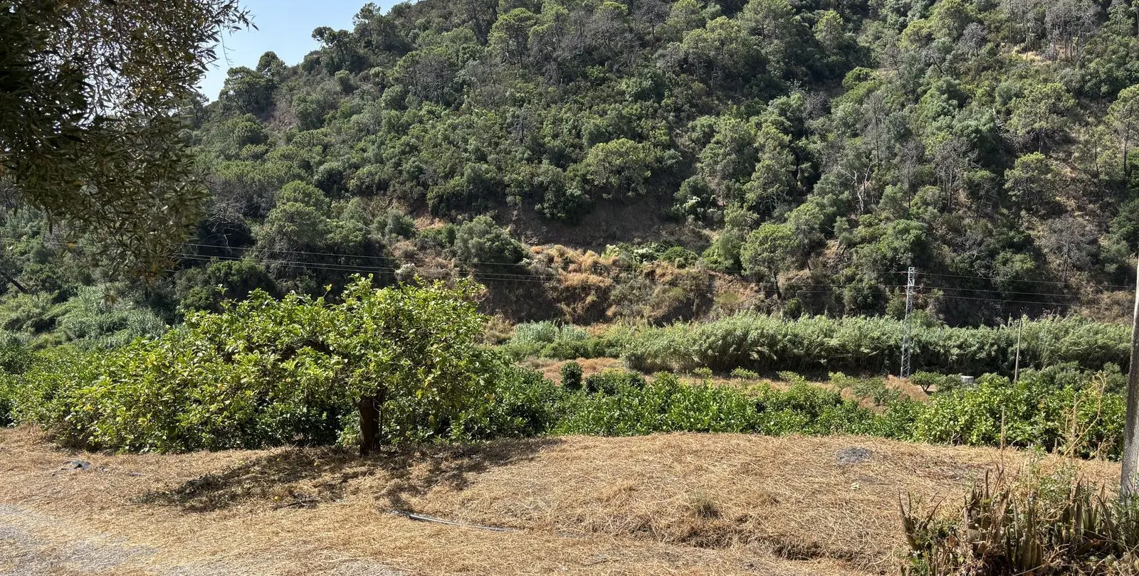 Sale of residential plot in El Padron 15