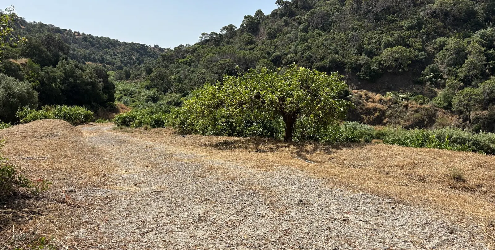Sale of residential plot in El Padron 16