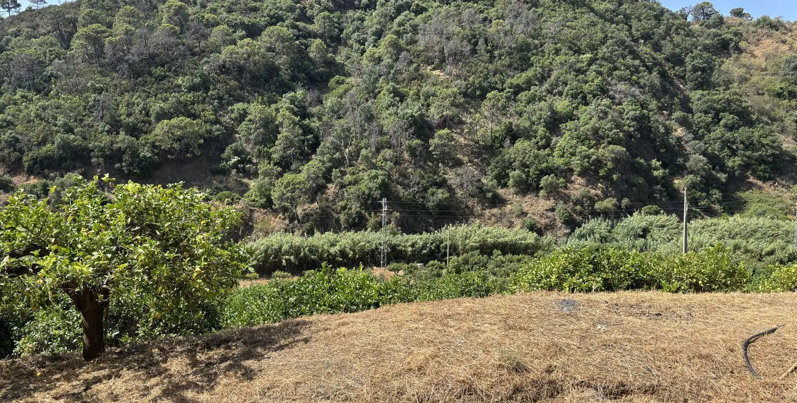 Sale of residential plot in El Padron 17