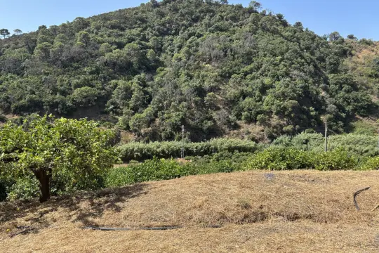 Image 17 thumb