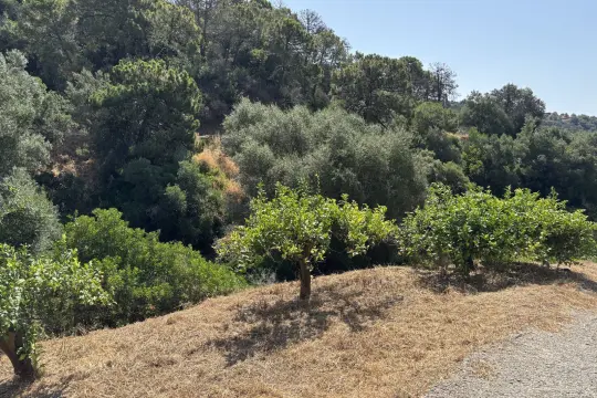 Image 18 thumb