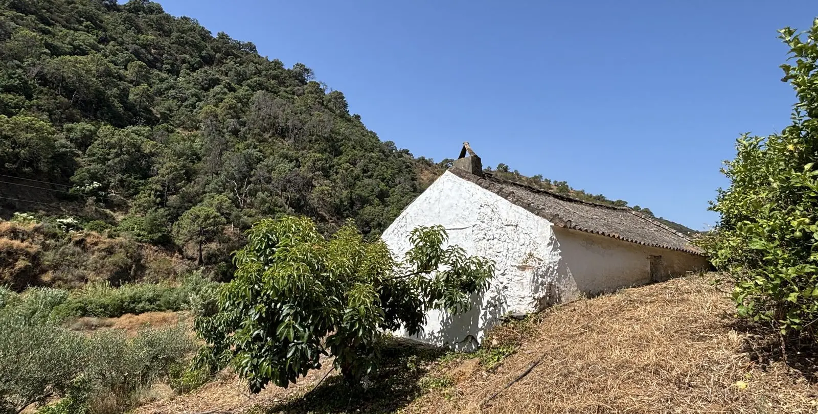 Sale of residential plot in El Padron 20