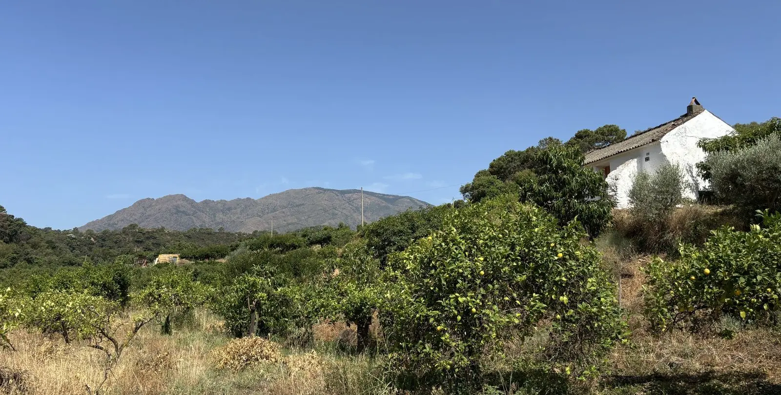 Sale of residential plot in El Padron 21