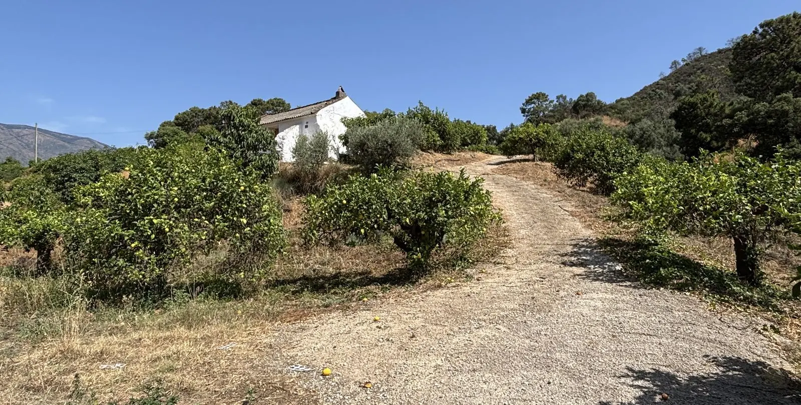 Sale of residential plot in El Padron 22